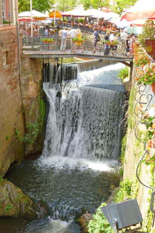 Neuschwanstein juni 2011 - 213
